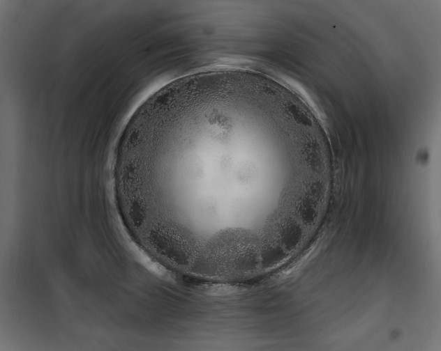 X0000100751235200806191136