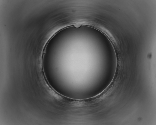 X0000100751236200806191136