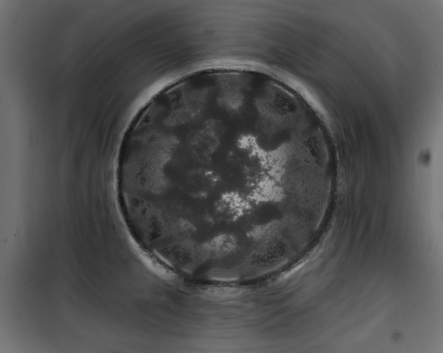 X0000100751237200806191136