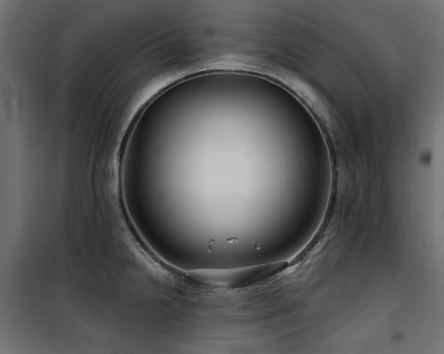 X0000100751238200806191136