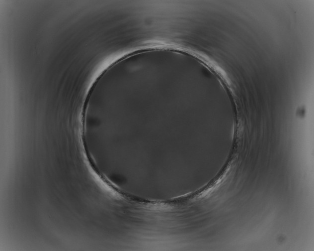 X0000100751239200806191136