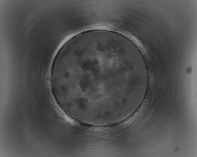 X0000100751240200806191136