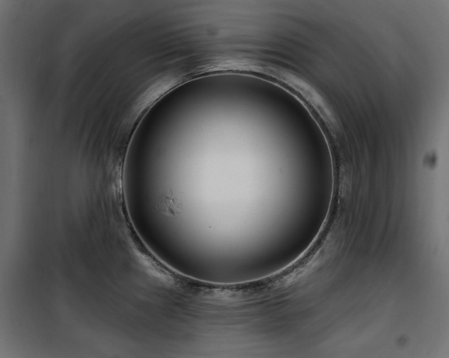 X0000100751241200806191136