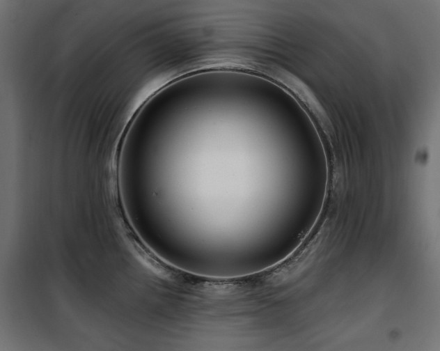 X0000100751242200806191136