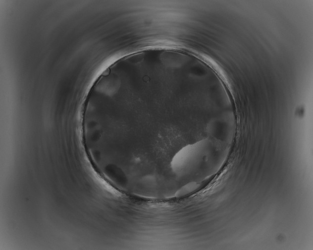 X0000100751243200806191136