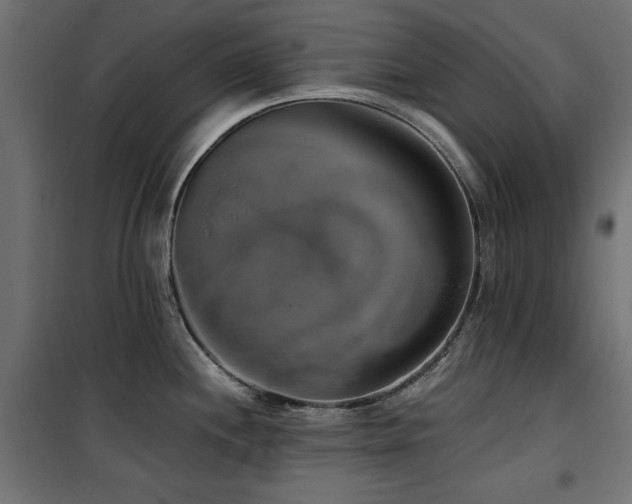 X0000100751244200806191136