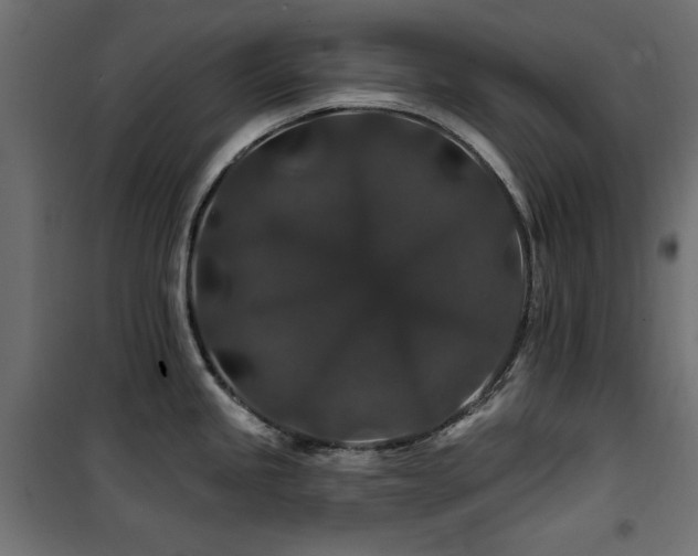 X0000100751245200806191136