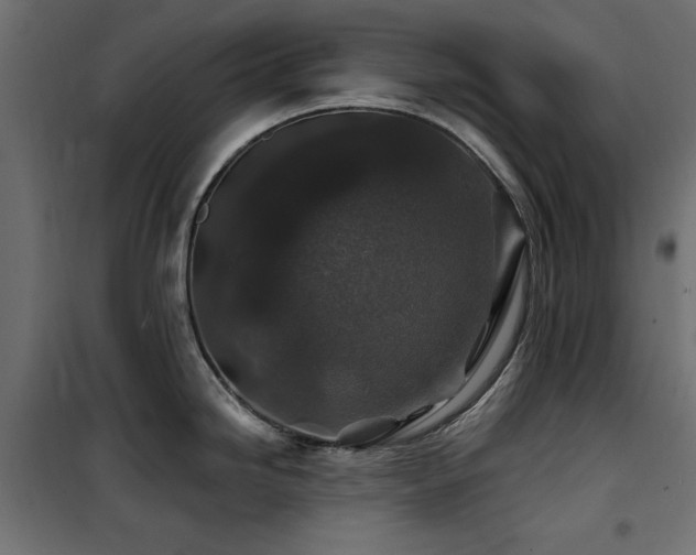 X0000100751246200806191136