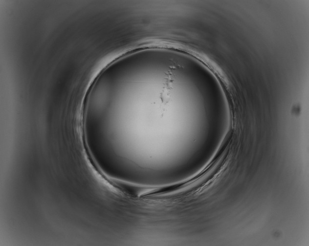 X0000100751247200806191136