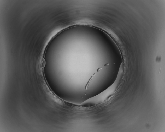 X0000100751248200806191136