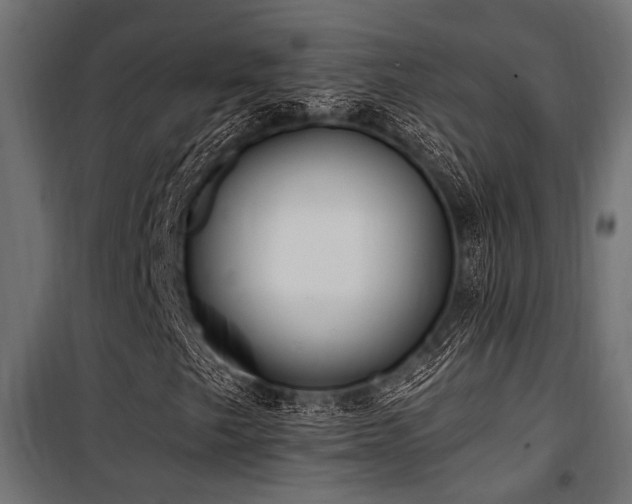 X0000100751249200806191135