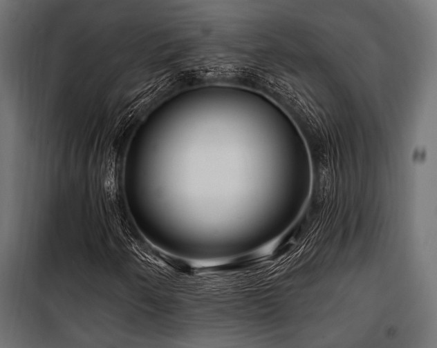 X0000100751250200806191135