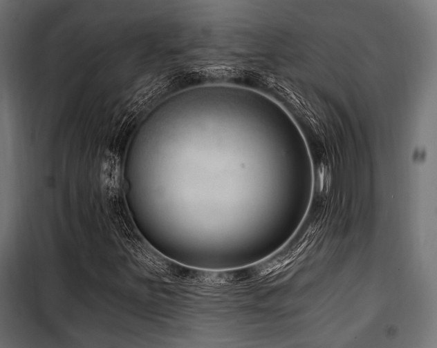 X0000100751251200806191135