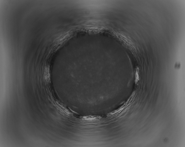 X0000100751252200806191135