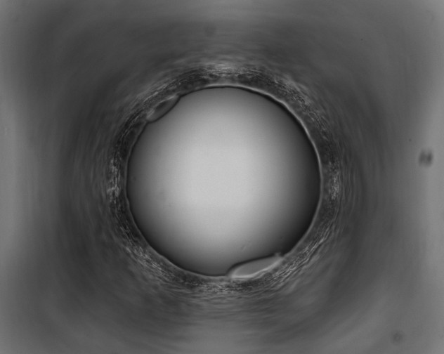 X0000100751253200806191135