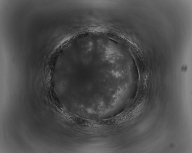 X0000100751254200806191135