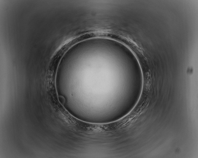 X0000100751255200806191135