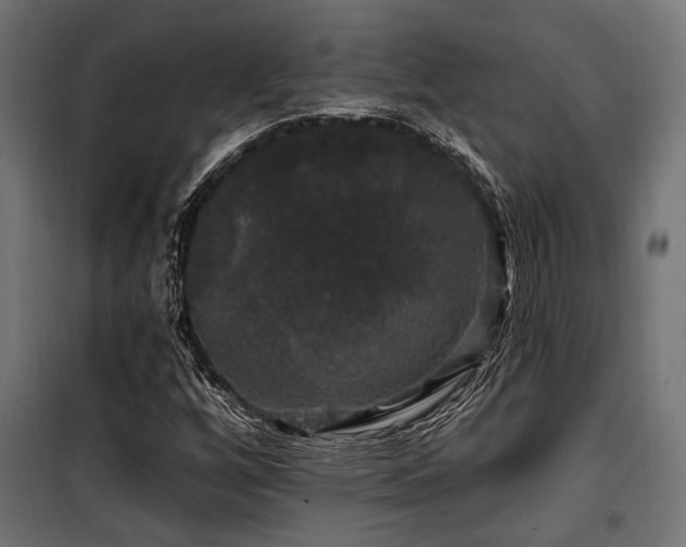 X0000100751256200806191135