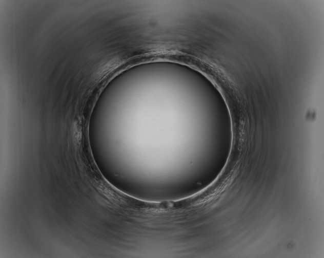 X0000100751257200806191135