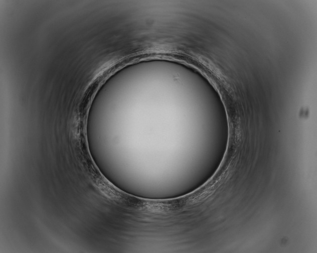 X0000100751258200806191135