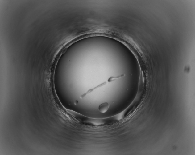 X0000100751260200806191135