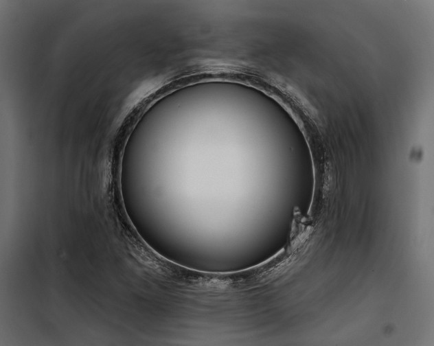 X0000100751261200806191135