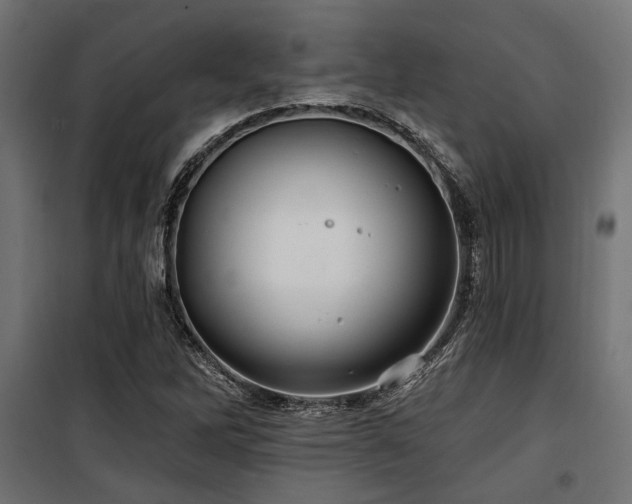 X0000100751262200806191135