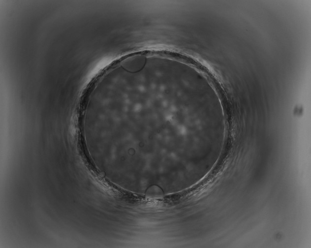 X0000100751263200806191135