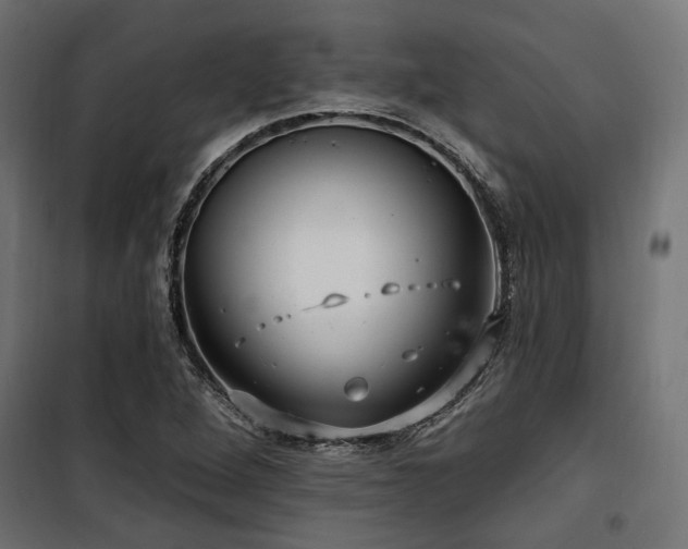 X0000100751264200806191135