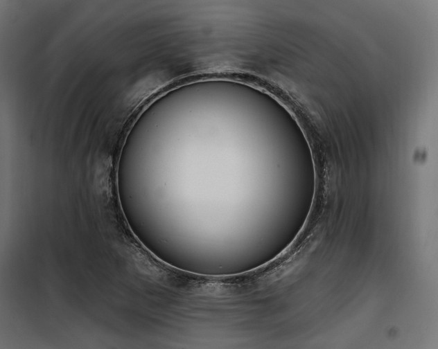 X0000100751265200806191135