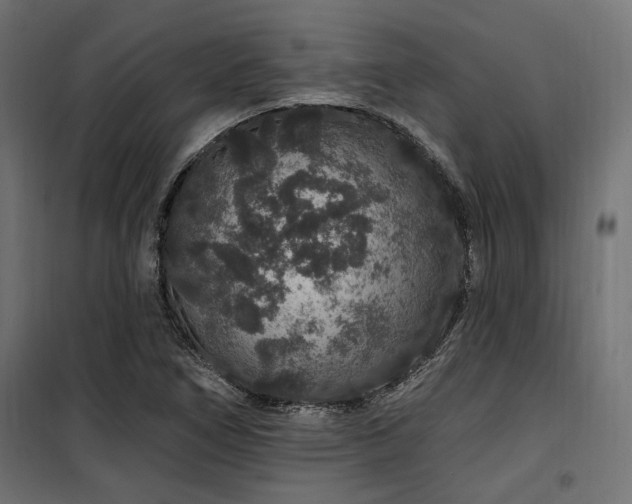 X0000100751266200806191135