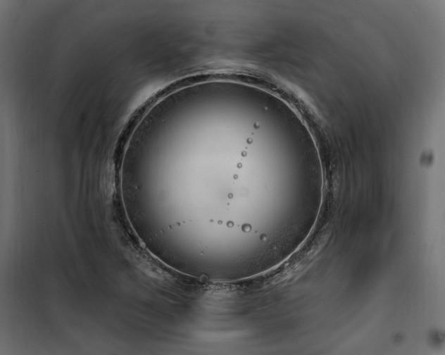 X0000100751267200806191135