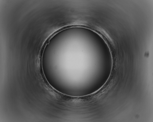 X0000100751268200806191135