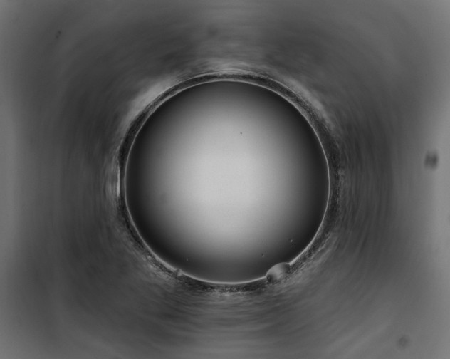 X0000100751269200806191135