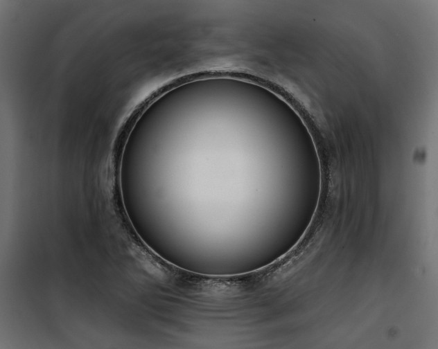 X0000100751270200806191135