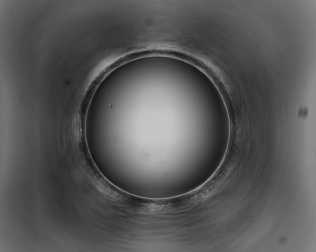 X0000100751271200806191135