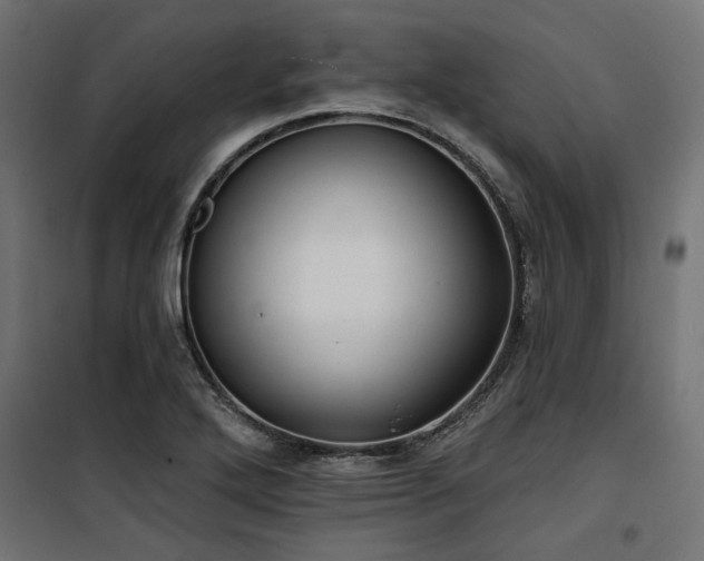 X0000100751272200806191135