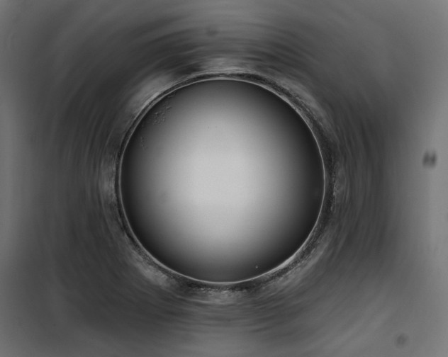 X0000100751273200806191135