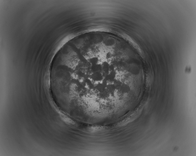 X0000100751274200806191135