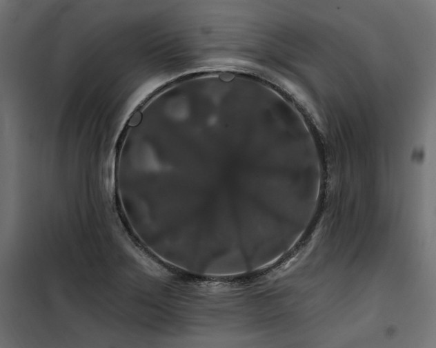 X0000100751275200806191135