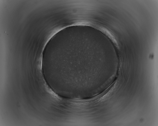 X0000100751276200806191135