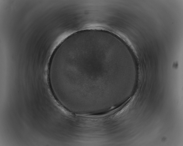 X0000100751277200806191135