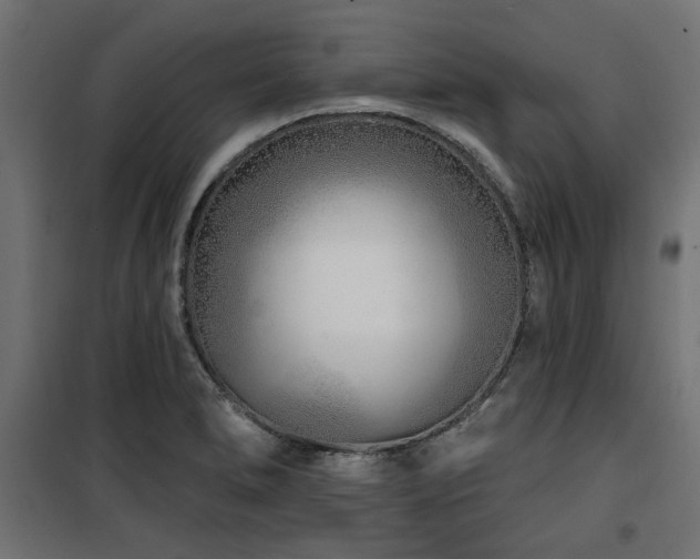 X0000100751278200806191135