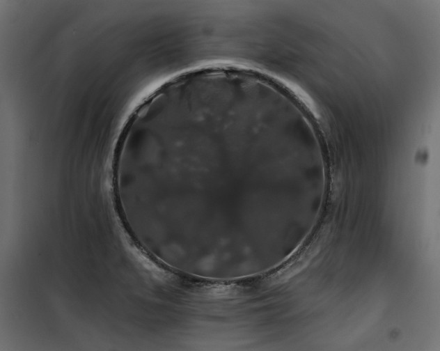 X0000100751279200806191134