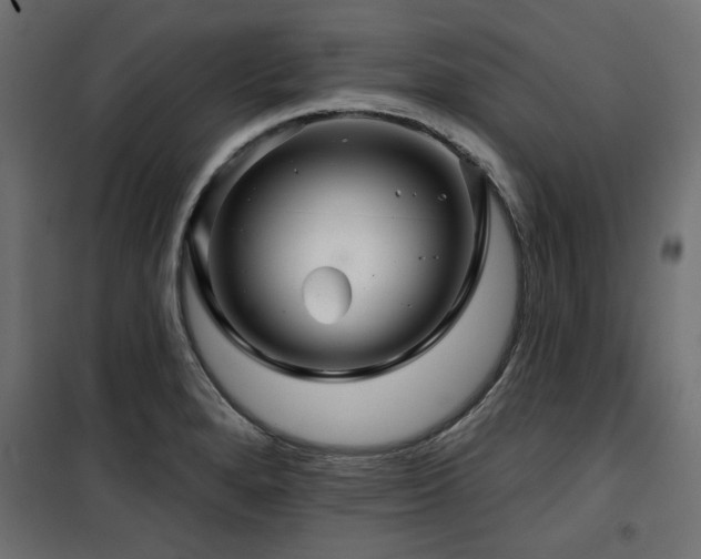 X0000100751280200806191134