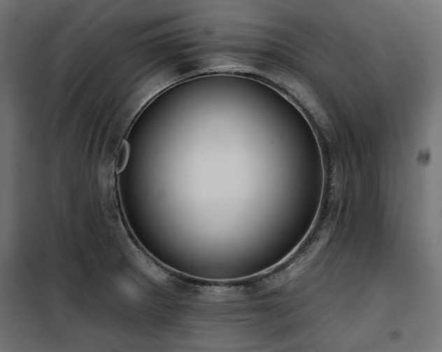 X0000100751281200806191134