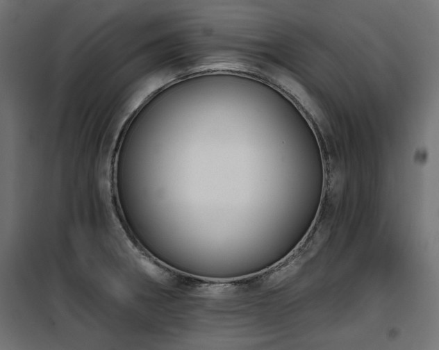 X0000100751282200806191134