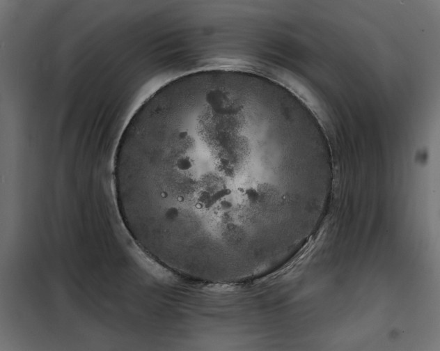 X0000100751283200806191134