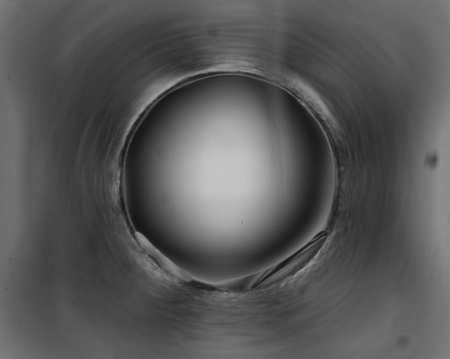 X0000100751284200806191134