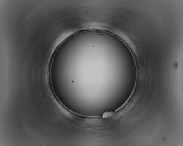 X0000100751285200806191134